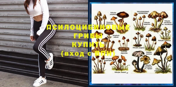 мдпв Горнозаводск