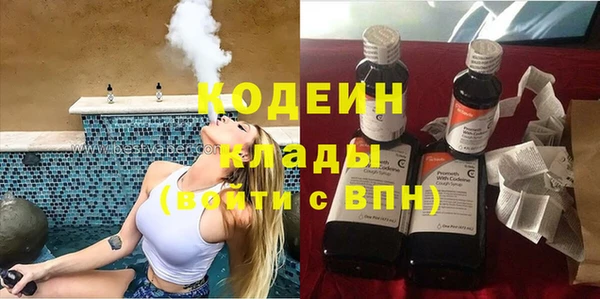 мдпв Горнозаводск