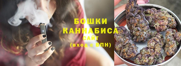 мдпв Горнозаводск